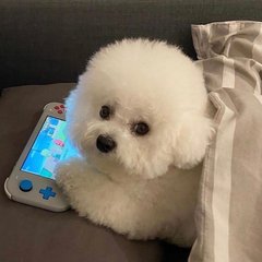 2023年无期迷途体验
