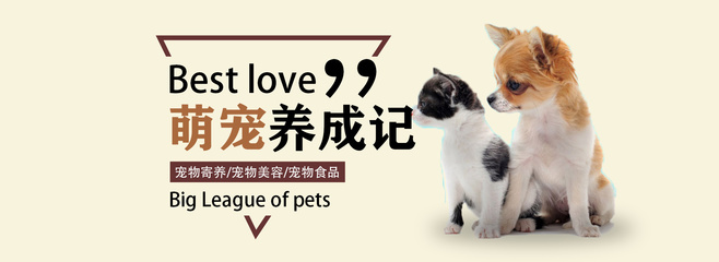 2027年林俊杰怎么玩